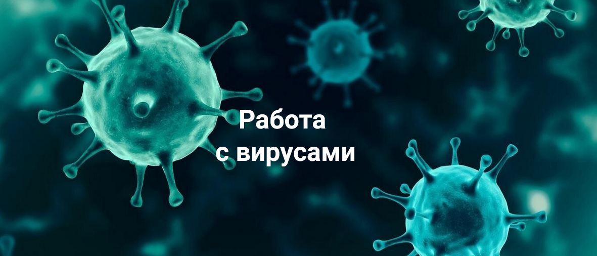 [Никита Истомин] Работа с вирусами (2024)_0.png